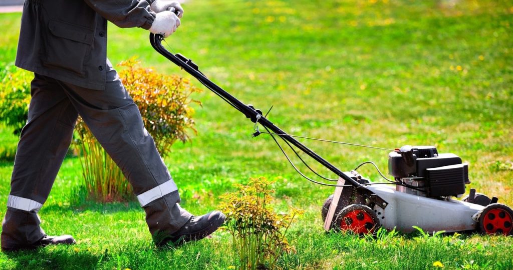 Man muss nie wieder Gras mähen. Verwenden Sie diesen Trick einfach