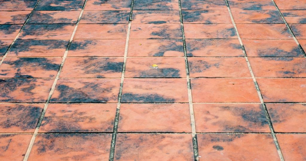 Terracotta bir ayna gibi parlayacak. Temizlik ajanlarına bir zloti harcamayacaksınız