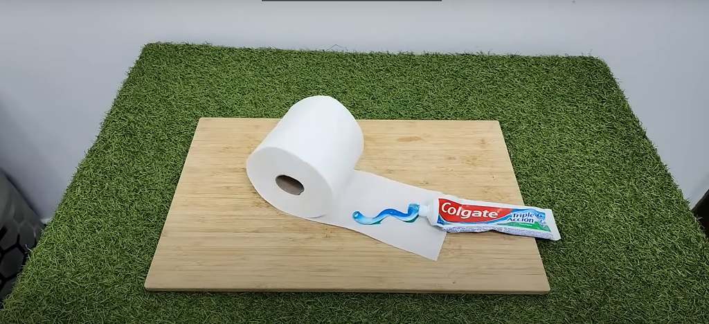 Wie man Mücken zu Hause mit diesem effektiven Toilettenpapiertrick ablehnt, der viral geworden ist. 
