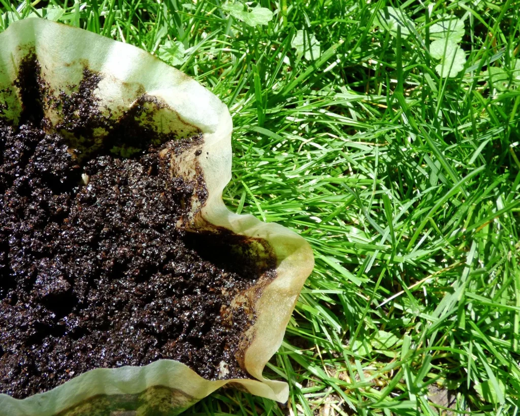 Anstatt es wegzuwerfen, legen Sie es in den Garten. Es ist die beste Schneckenfalle. Sie werden keine Schwachen verpassen.