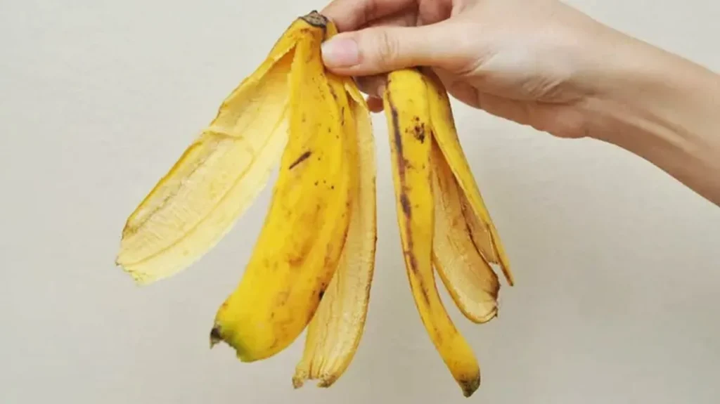 Bananenhaut streuen Salz - Ich werde mich über meine Erfindungsreichtum im ganzen Mai freuen: Der beste Helfer für die faulen Gärtner