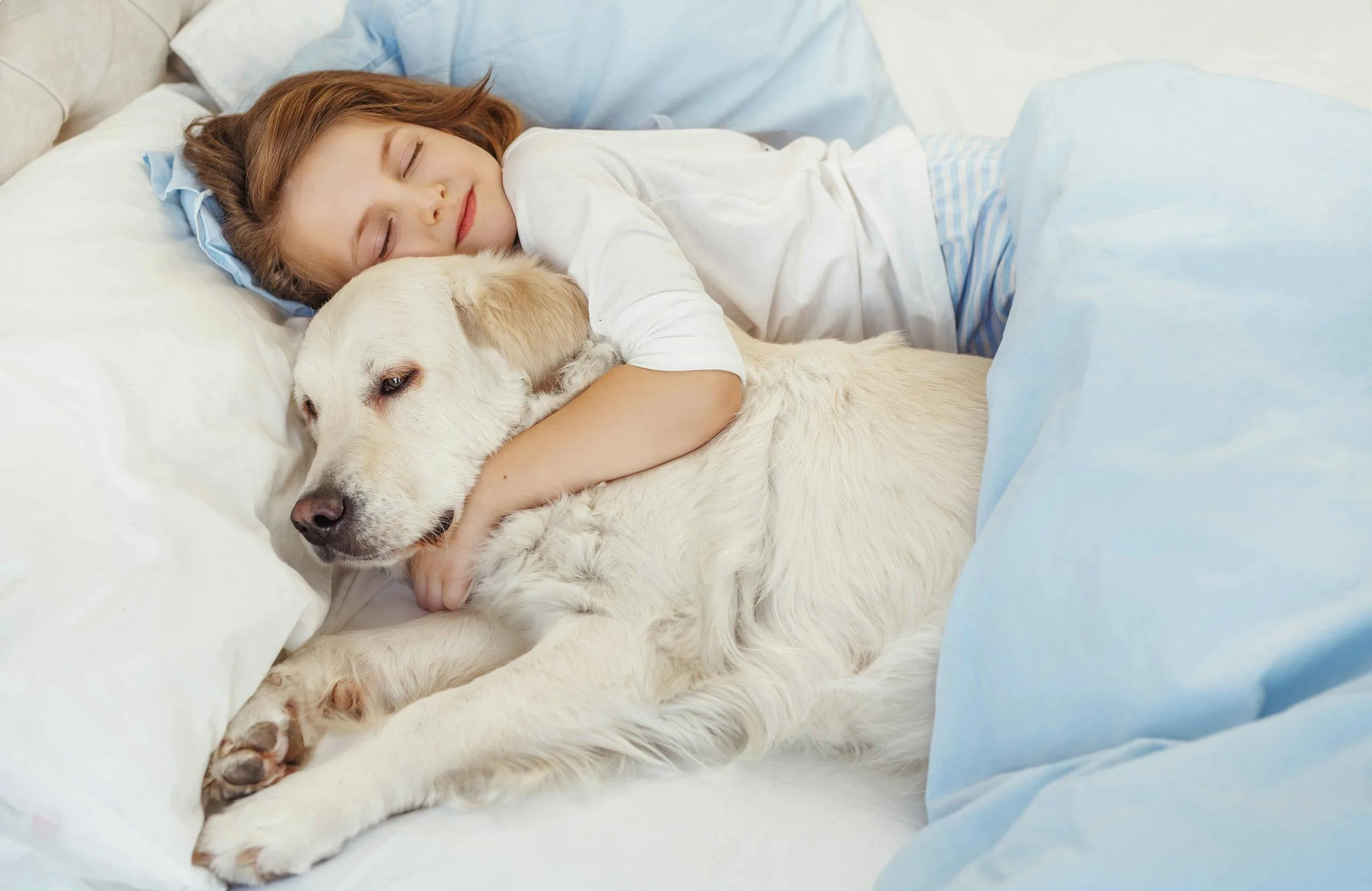 Laut Psychologen haben Menschen, die mit ihren Haustieren im Bett schlafen, die folgenden 7 Eigenschaften.
