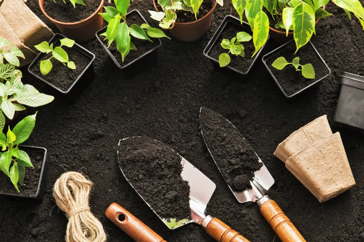 Ein Gärtner verwandelt übrig gebliebene Plastiktöpfe in eine glänzende Lösung für den Garten: „Was für eine tolle Idee!“