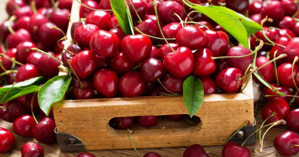 Kirazlardan solucanları bu şekilde çıkaracaksınız. Çok kolay ve kesmeyi gerektirmiyor