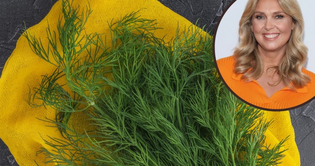 Dondurucu dereotu unutun. Ewa Wachowicz onu bu şekilde saklar ve her zaman taze