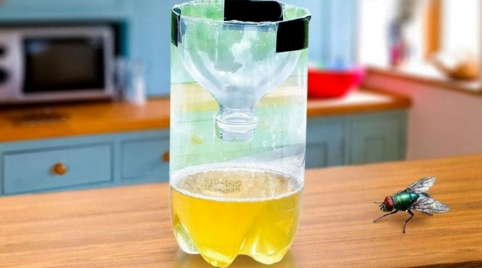 Ich goss Reisessig in die Flasche und das Essen wusch und ließ das nervigste Problem in einer Stunde los.