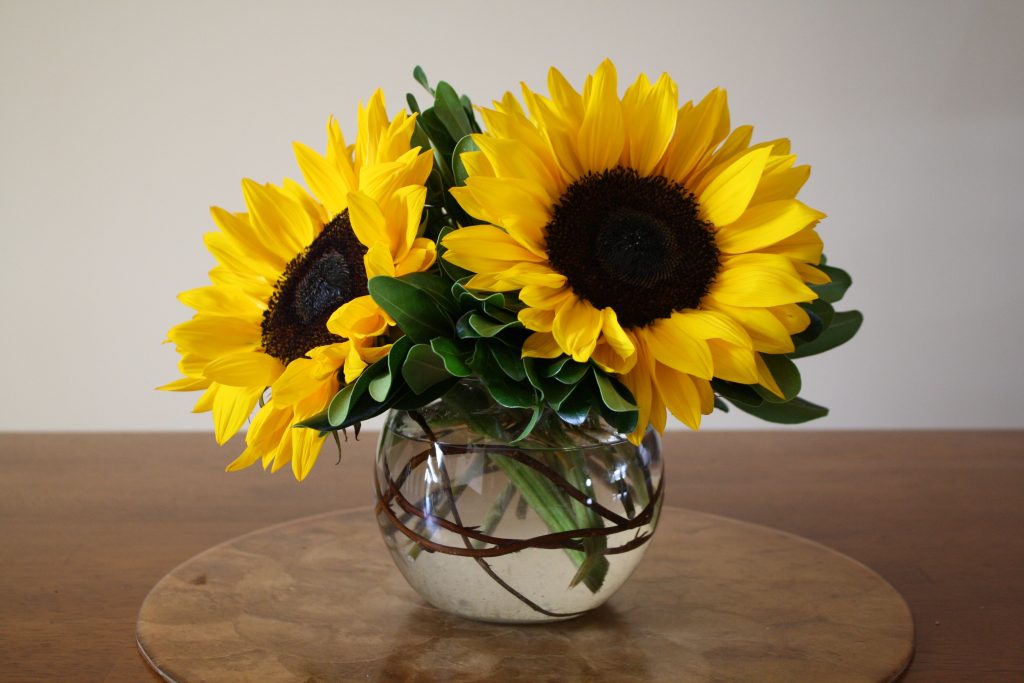 Welche Blume empfiehlt Feng Shui, um wirtschaftlichen Wohlstand und Glück anzuziehen?