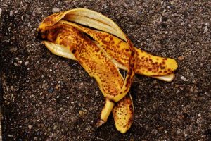 3 Naturdünger für die Ernährung von Pflanzen im Garten