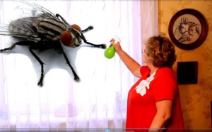 Fliegen im Haus verschwanden sofort mit einem einfachen Hausmittel