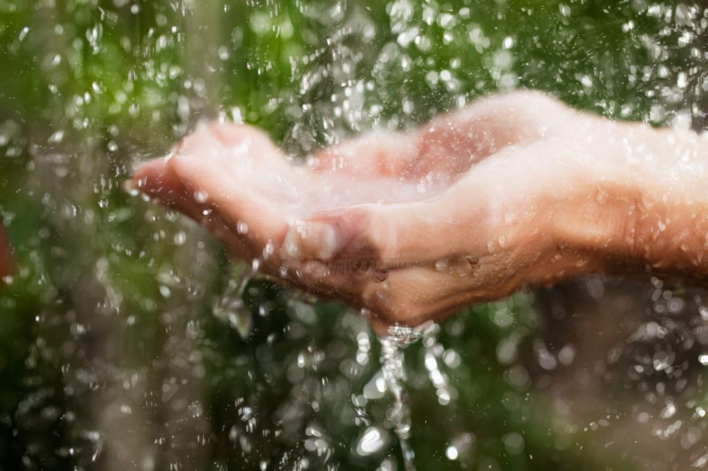 In Frankreich ab dem 1. Juli, ein Gesetz, das die Verwendung von Regenwasser für Gärtneren verbietet. Der Grund ist Gesundheit.