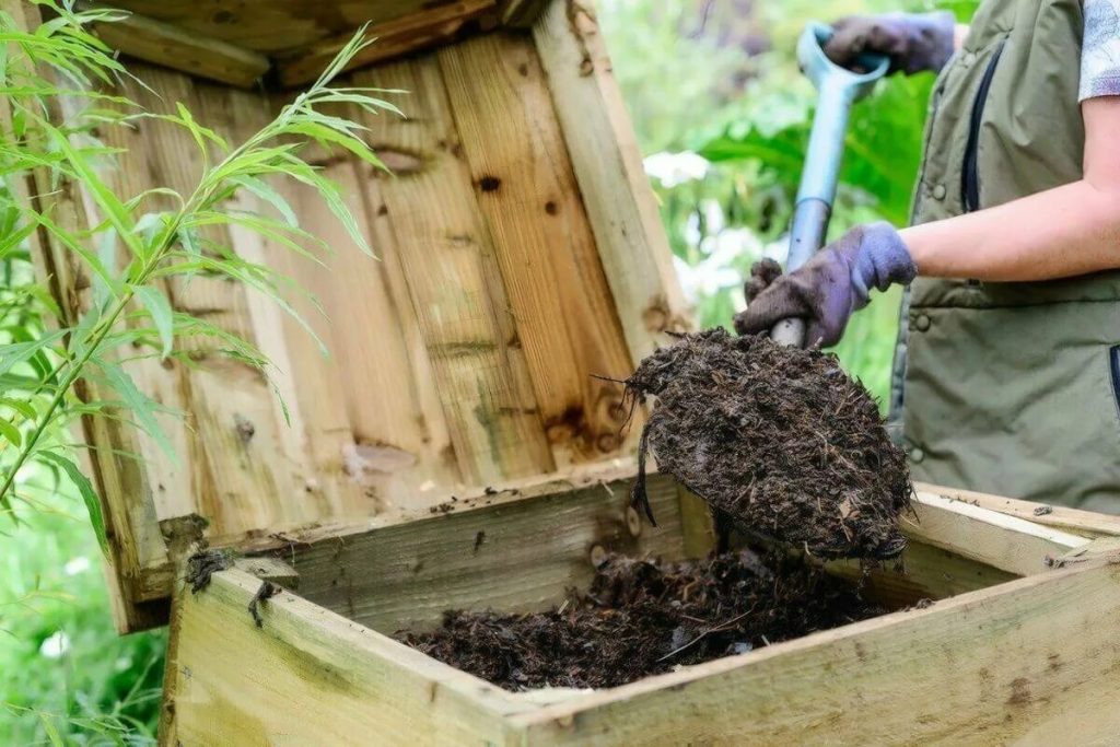 Ich habe aufgehört, einen Kaffee -Sattel zu werfen: Hier sind 4 einfache Möglichkeiten, ihn effizient im Garten zu verwenden
