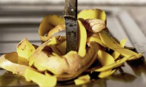 Kartoffelschalen als Dünger: Wie man Lebensmittelabfälle für den Garten benutzt