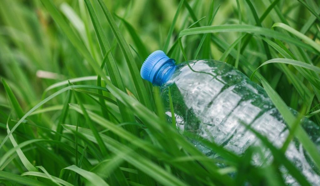 Nehmen Sie eine Plastikflasche und legen Sie sie in die Mitte Ihres Gartens. Ein schreckliches Problem verschwindet in einer Nacht 