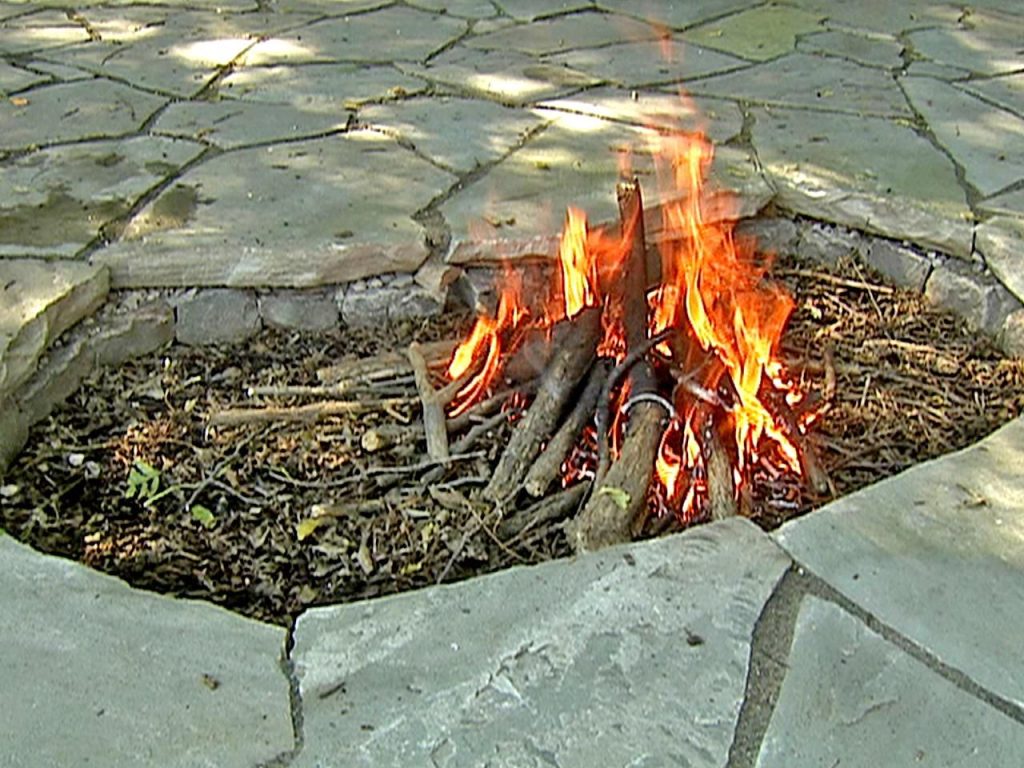 Machen Sie diesen Fehler nicht: Welche Aschentypen können und können nicht in Ihrem Gartenhandel verwendet werden 