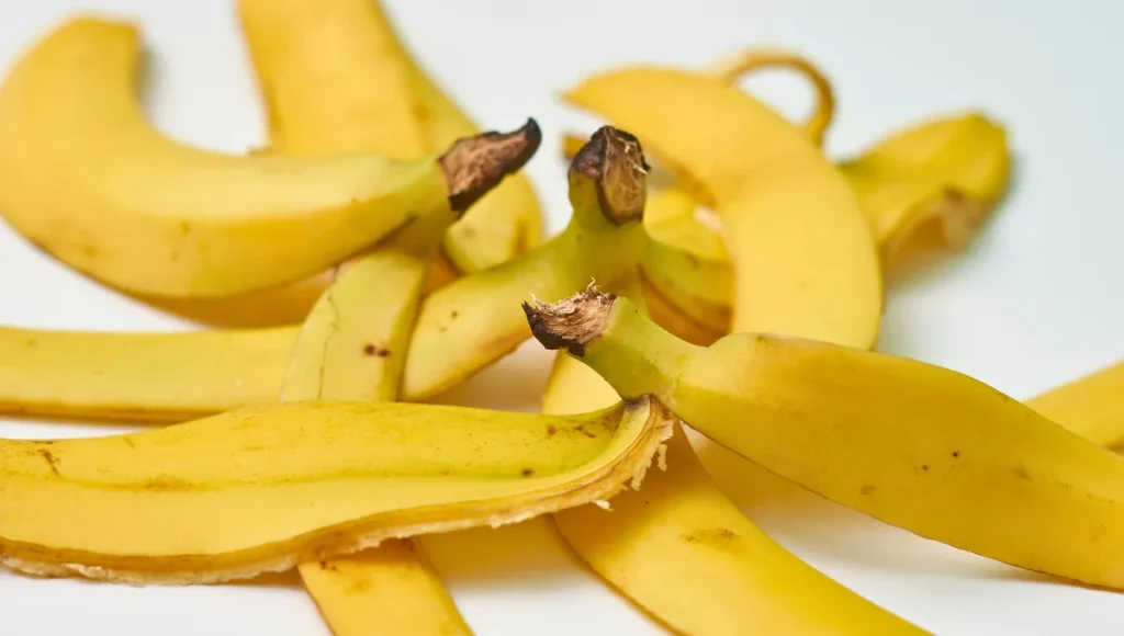 Warum ist es gut, die Blätter von Pflanzen mit einem Bananenschalen zu wischen: erstaunlicher Trick 