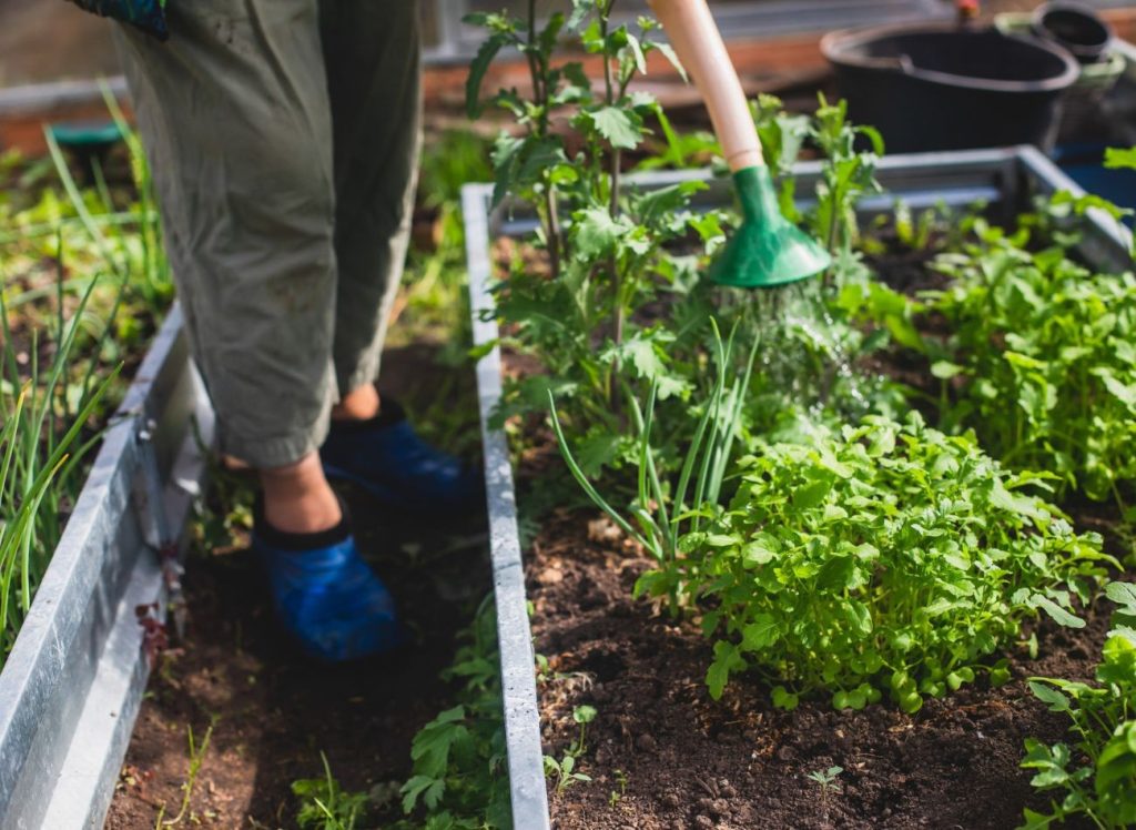 Hochblumende Betten - Hit Garden. Wie man sie baut und was soll man am besten auf ihnen wachsen