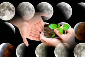 Mondphase und ihre Lage im Tierkreiszeichen: Calender für Juni 2025 säen