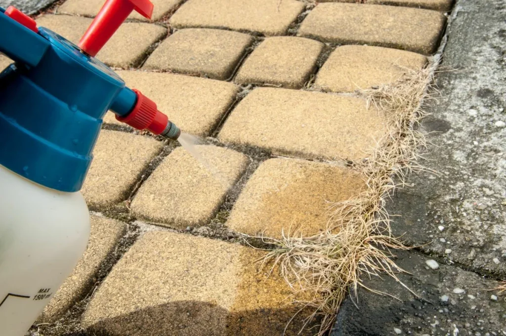 Haben Sie Unkraut auf der ganzen Terrasse? Mit diesem Küchenmittel werden Sie es in kurzer Zeit zerstören