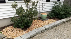 Sammle sie und benutze in deinem Garten. Sie halten Wasser perfekt, bereichern den Boden und schützen vor Schädlingen.