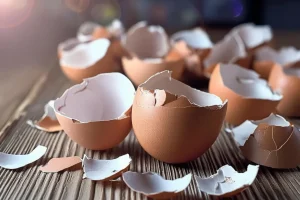 Wer hat Eierschalen einen Schatz: Warum sie rauswerfen und wie man sie wiederverwendet?