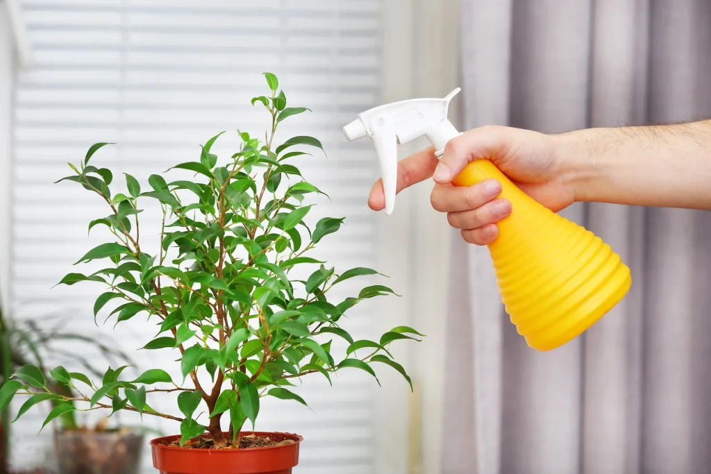 Wenn Sie Pflanzen mögen, ist dieser Trick ein echter Wundermittel, um Insekten und Blattläuse loszuwerden.