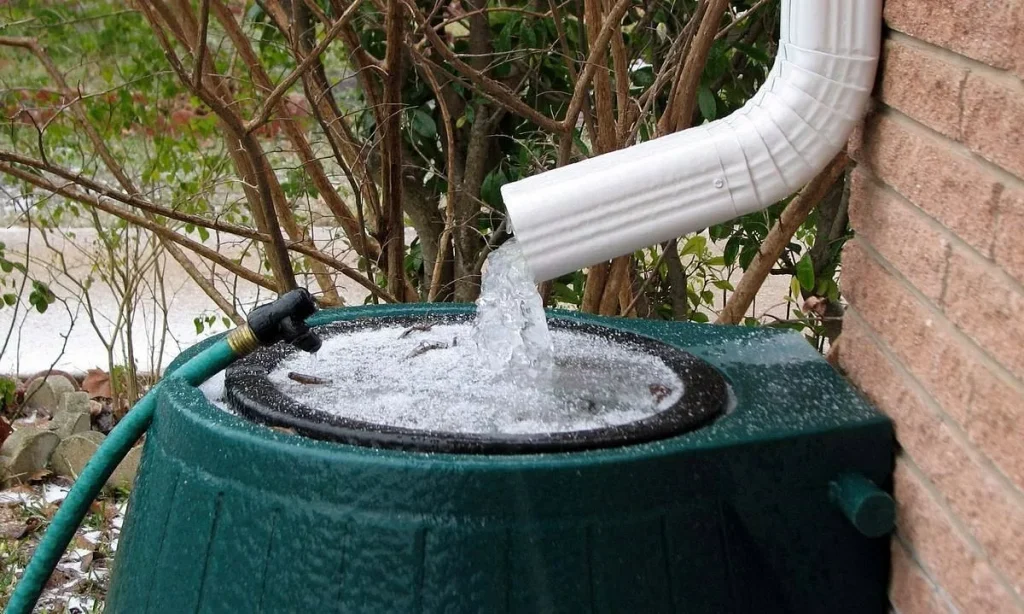 In Frankreich ab dem 1. Juli, ein Gesetz, das die Verwendung von Regenwasser für Gärtneren verbietet. Der Grund ist Gesundheit.