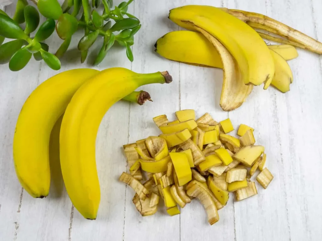 Entsorgen Sie keine Bananenschalen: Sie sind wertvolle Düngemittel und Schutz für Pflanzen