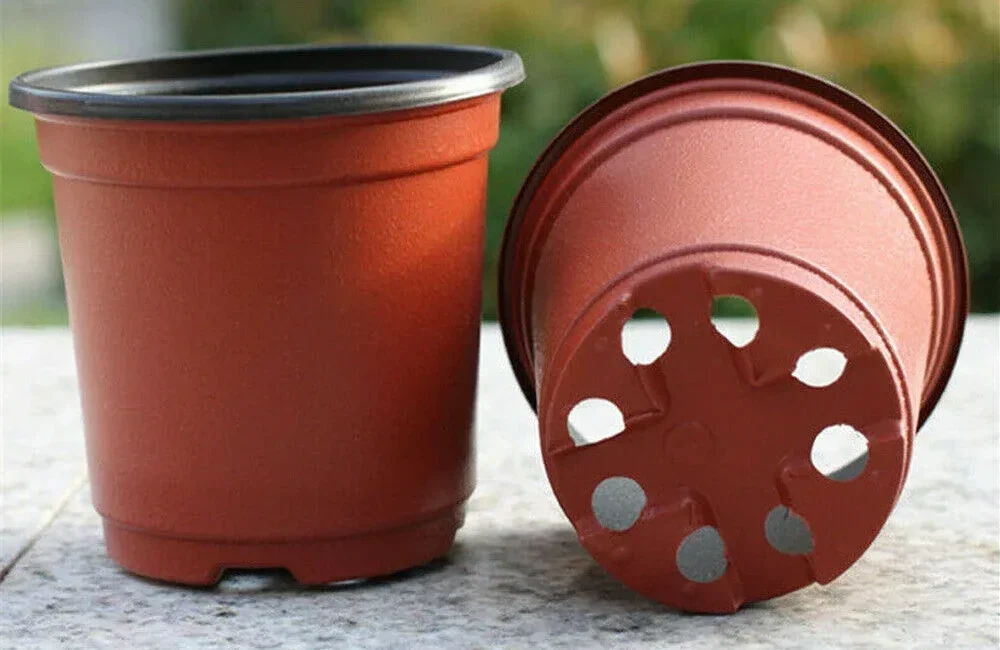 Der Gärtner verwandelt die Überreste von Plastiktöpfen in eine brillante Lösung für den Garten: 