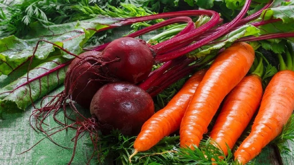 Wie man sich im Juni um Karotten und Rüben kümmert: bewährte Checkliste für Gärtner
