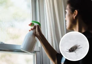 Wie man diesen Sommer viel loswerden
