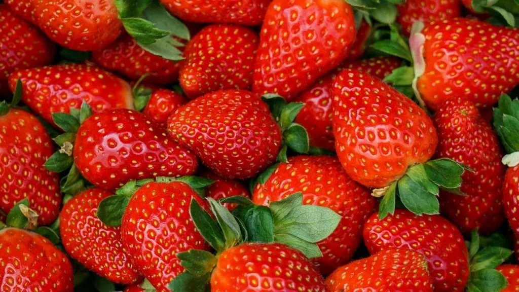 Wie frieren Sie Erdbeeren ein? Machen Sie diesen Fehler nicht. Es verwöhnt ihren Geschmack und verliert seine Form.