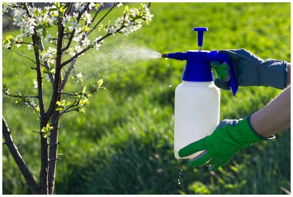 Wenn Sie Pflanzen mögen, ist dieser Trick ein echter Wundermittel, um Insekten und Blattläuse loszuwerden.