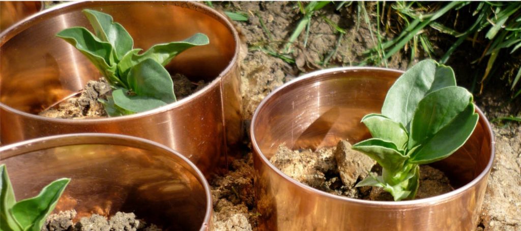 Bade sie um den Garten. Die Schnecken sind alle zu einem.