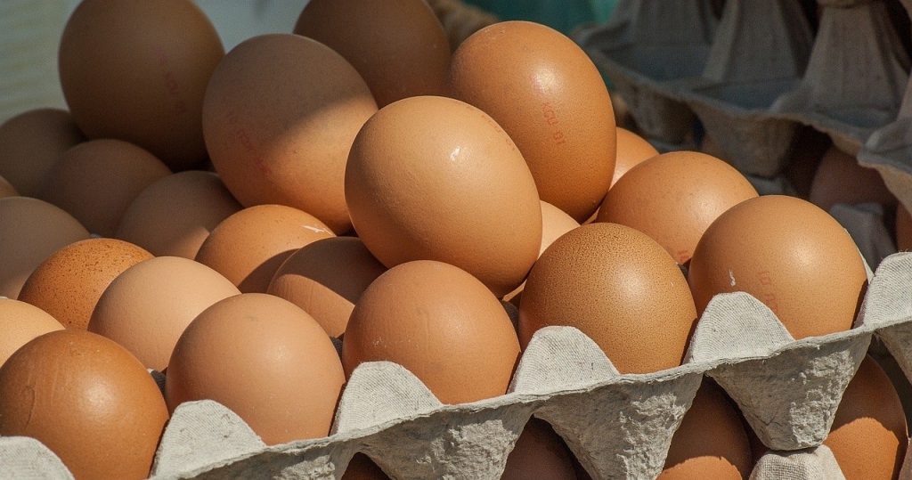 Bu yumurtaları almayın. GIS Salmonella’ya karşı uyarıyor