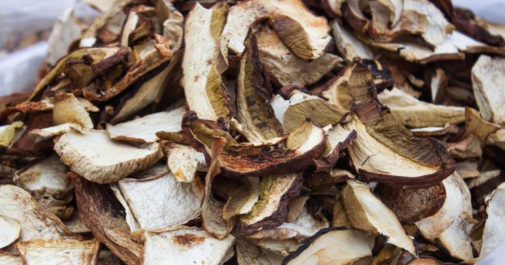 Bu tür kurutulmuş mantarlar lezzetli ve aromatik olacaktır. Özel bir kurutucuya sahip olmanıza gerek yok