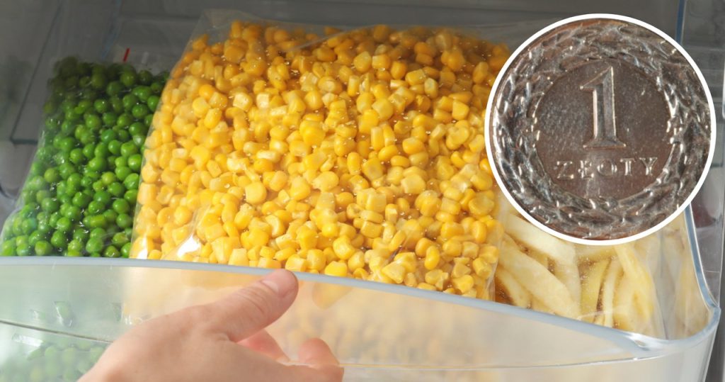 Tatile mi gidiyorsun? Madeni parayı dondurucuya koyun ve geri döndükten sonra size teşekkür edeceksiniz