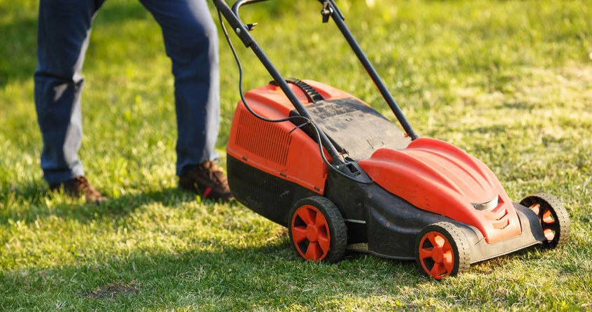 Kosisz Wet Lawn? Sehen Sie, wie es enden kann