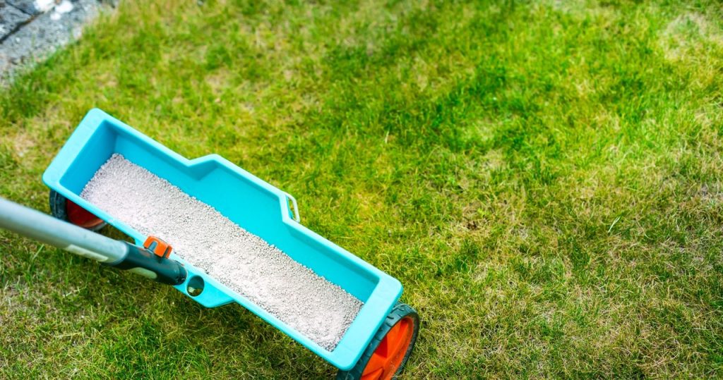 Achten Sie im August unbedingt den Rasen damit. Das Gras wird wieder üppig und grün sein