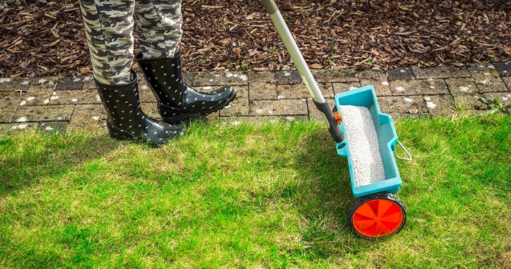 Wie kümmert man sich im Herbst um den Rasen? Sie können dieses Datum nicht verpassen