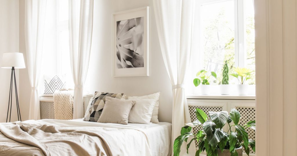Halten Sie diese Pflanzen im Schlafzimmer? Seien Sie nicht überrascht, dass Sie immer noch schlaflos gehen