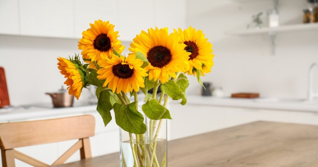 Sonnenblumen werden viele Wochen lang nicht welk. Alles, was Sie tun müssen, bevor Sie sie in die Vase stellen, ist Folgendes zu tun