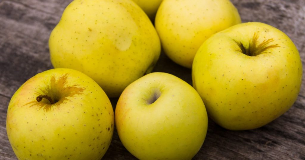 Bu elmalar başkalarını kafalarında dövdü. Vitaminlerle dolu ve elmalı turta için harika