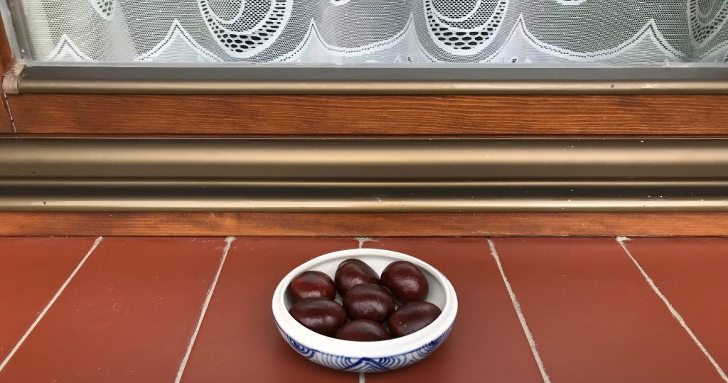Yürüyüş yerinden getir ve pencere kenarına koy. Örümcekler artık eve girmeyecek