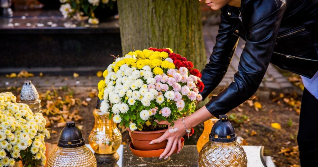 Nicht nur Chrysanthemen. Diese Blumen eignen sich auch für einen Friedhof